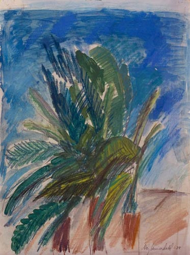Palm, Andalusien